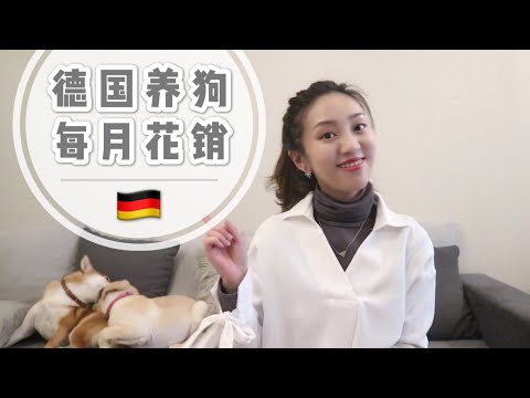 養兩隻狗