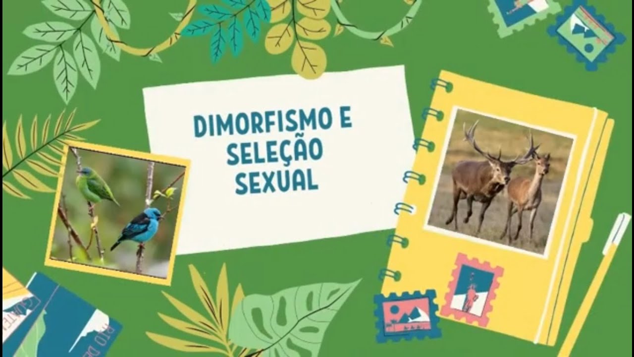 Seleção e Dimorfismo Sexual na Natureza