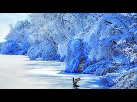 Rout - Carol Of The Bells (2010 Dub)