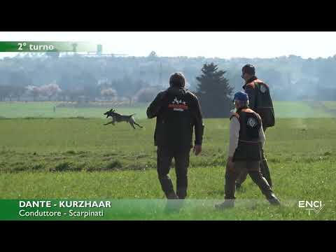 ALTAMURA PRIMAVERA 2022 - DERBY CONTINENTALI - BATTERIA 2 CONTINENTALI ESTERI