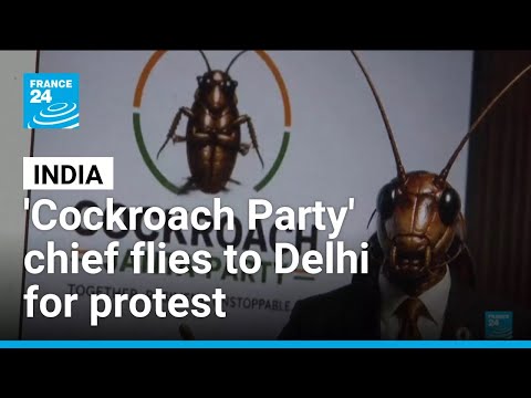 India's 'Cockroach Party' chief flies to New Delhi for protest