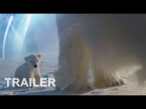 Trailer Die Eisbären - Aug In Aug Mit Den Eisbären