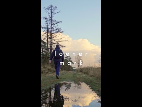 Veluwe - Loenermark highlights #silenthiking #veluwe  #nature