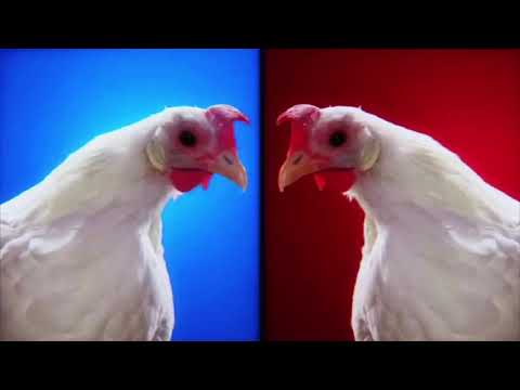 Techno Chicken Song Remix (1 Hour)