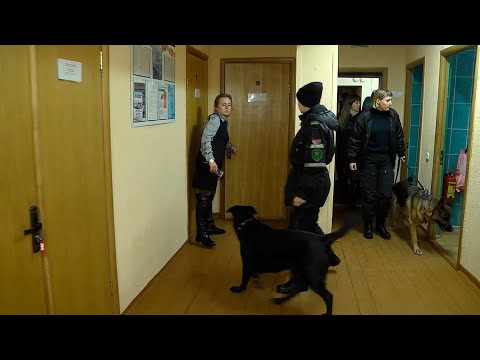 Кинологи искали наркотики в общежитиях Гомеля видео