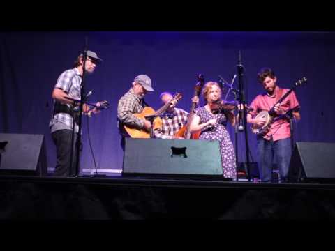 Clifftop 2017 - Old Drake - Georgia Belles