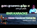 Tridalam Triguna Bilvashtakam Solo Karaoke Shri Shiva Stotra Nidhi Adi Sankaracharya SPB