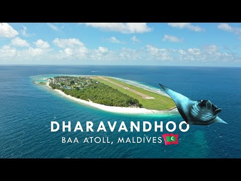 Maldives Dharavandhoo Island Review 2019 - TRAVEL VLOG