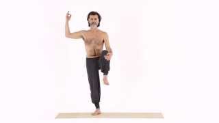 ALBERO, VARIAZIONE 2 – VRIKSA ASANA