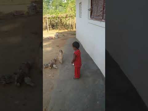 Deekshana with chicks.