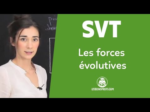 Les forces évolutives - SVT - Seconde - Les Bons Profs
