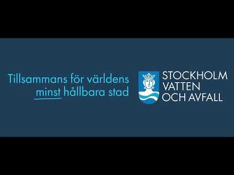 Rädda Hammarbyskogen. Del 2: Rättsröta?