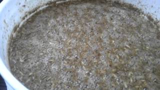 preview picture of video 'Mmmmm fermentation'