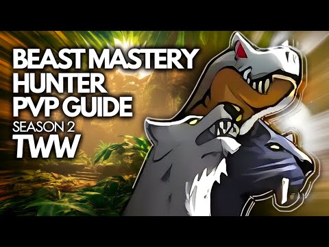 Beast Mastery Hunter PVP Guide Season 2 TWW