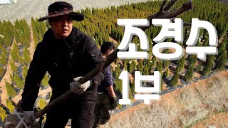 [나는농부다 347회 1부] 인턴 나무꾼과 이건희 회장님