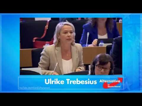 Trebesius (AfD) befragt Katainen zur Migration in Südeuropa und zum deutschen Meisterbrief