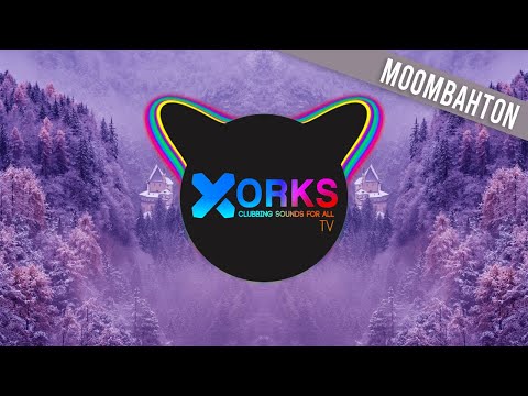 DVTTY x Fito Music - No Back