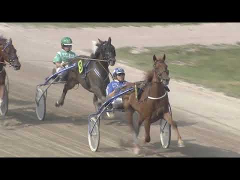 Renntag 19.08.2018 - 3. Champagner-Rennen / Amateurfahren / V6-1 mit 10.000 Euro