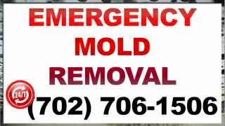 preview picture of video 'Mold Remediation North Las Vegas | 702-706-1506|89036|North Las Vegas  Mold Remediation|Nevada|NV'