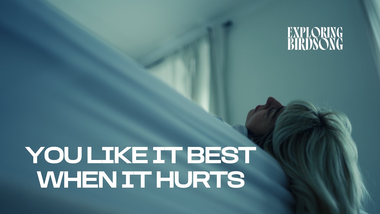 Exploring Birdsong - You Like It Best When It Hurts (Official Music Video) - YouTube