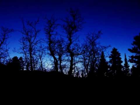 Just Along for the Ride