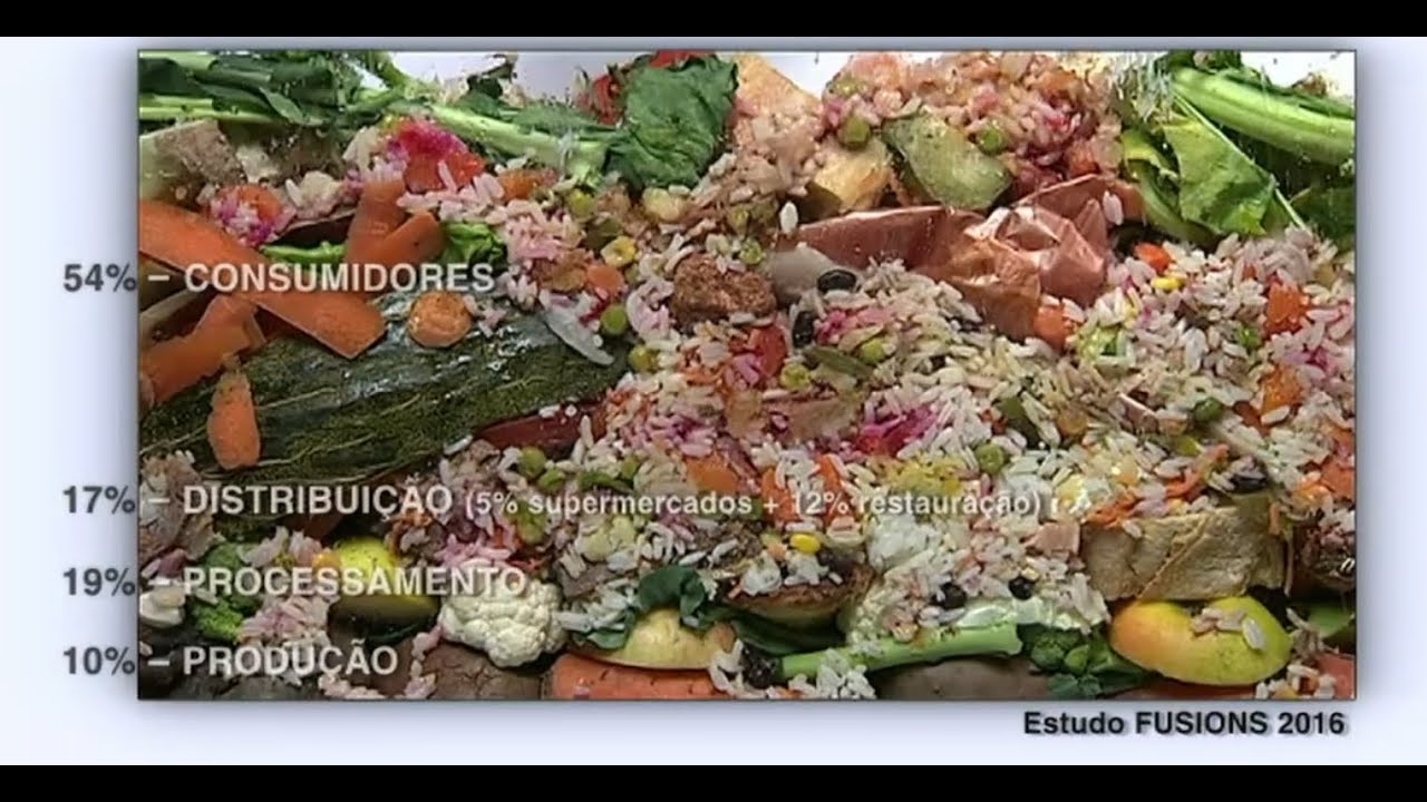 Comida ao Lixo - O Desperdício Alimentar