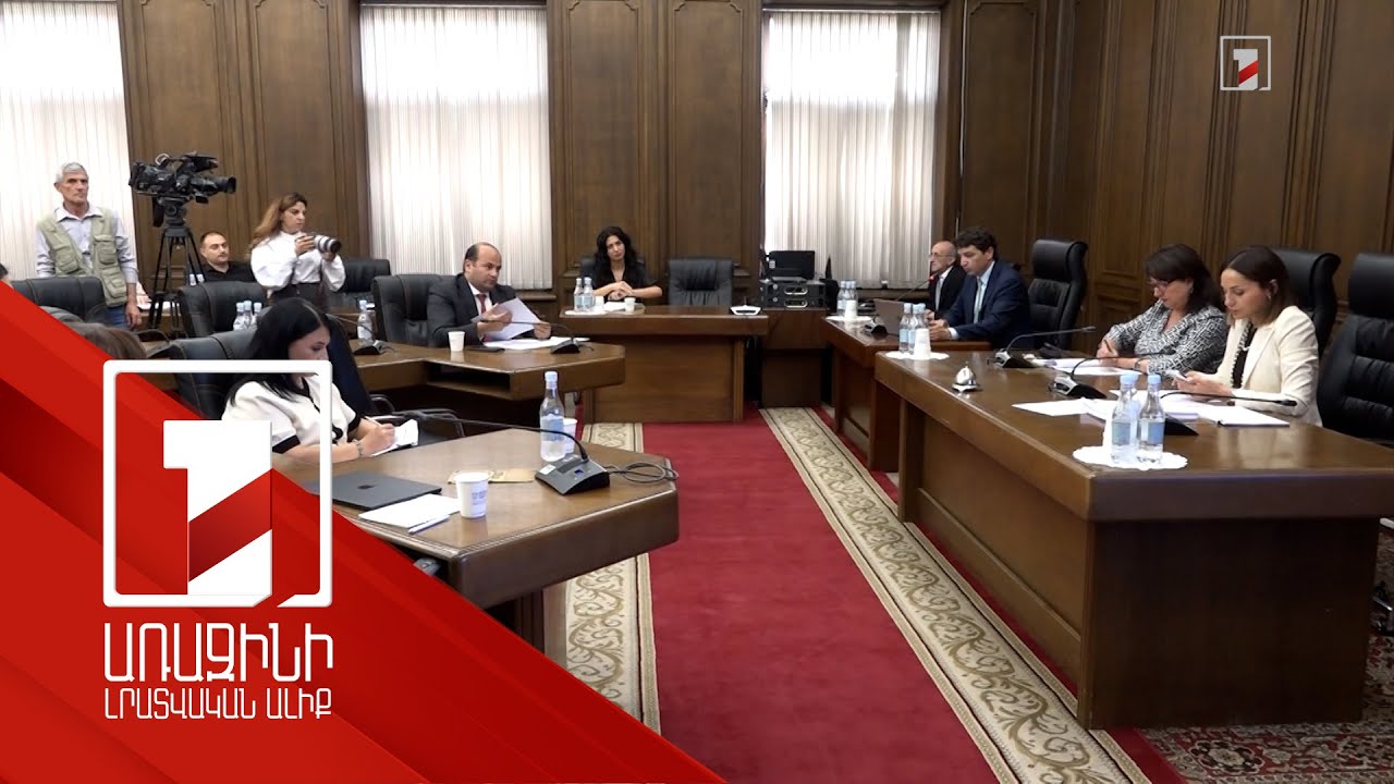 Ինչքան ներգաղթ է պետք՝ մեր երկրում կայուն 3 մլն ազգաբնակչություն ապահովելու համար. քննարկում ԱԺ-ում