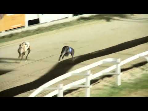 2022.07.01. 09. futam - Kategória Döntő