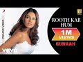 Rooth Kar Hum Audio Song - Gunaah|Dino, Bipasha Basu|Roop Kumar Rathod, Sabri Brothers