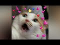 Sonta Crazy Over You Sped Up Reverb