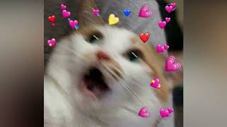 Download lagu sonta - crazy over you (sped up   reverb) mp3