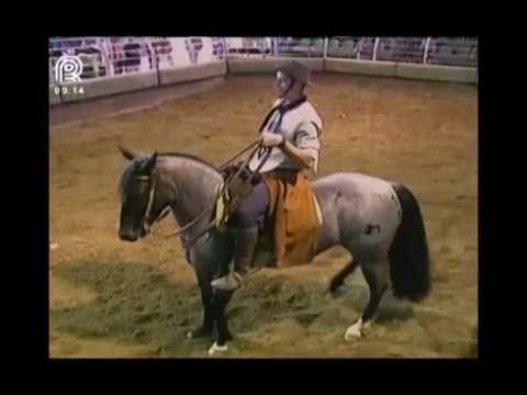 Aberta de Itu – 9° lugar fêmeas – Honoraria da Reservada