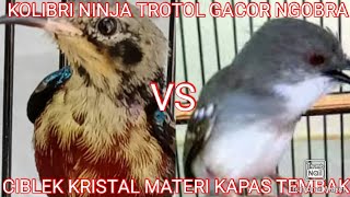 Download lagu KOLIBRI NINJA TROTOL NGOBRA MATERI RAPAT VS CIBLEK KRISTAL MATERI KAPAS TEMBAK mp3 Download lagu KOLIBRI NINJA TROTOL NGOBRA MATERI RAPAT VS CIBLEK KRISTAL MATERI KAPAS TEMBAK mp3