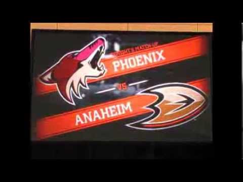 Coyotes/Ducks matchup video - October 18, 2013