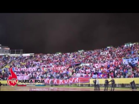 "El Nacional vs ligay 2016 - Marea Roja" Barra: Marea Roja • Club: El Nacional