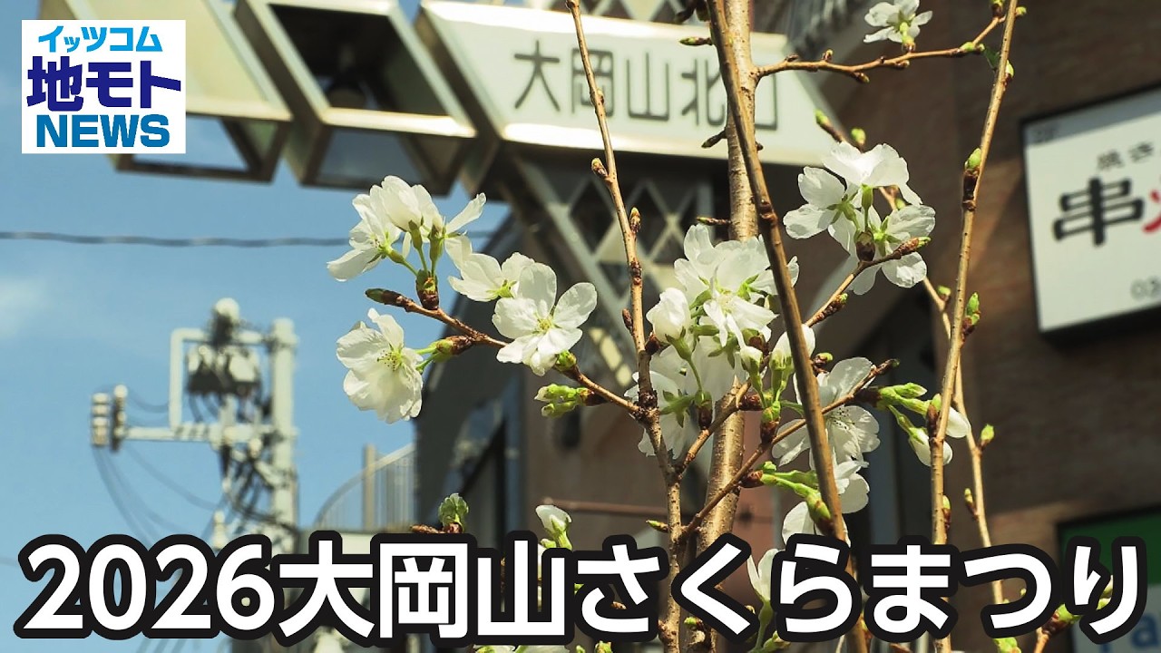 2026大岡山さくらまつり  【地モトNEWS】 2026/3/28 放送