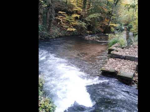 Modal Music For Tinnitus - New One Hour Version