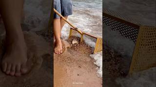 Download lagu Siapa yang kehilangan gelang tali emas cantik ini di tengah ombak? 🧐 mp3