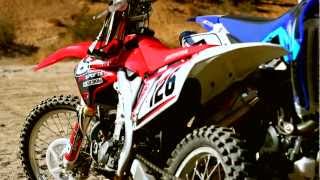 Social Distortion - King Of Fools