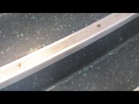 Wow,in cabina del Minuetto ME in livrea DTR