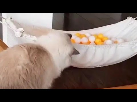 OMG i didn't expect that!!