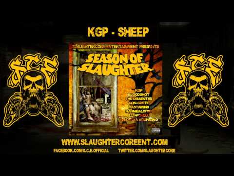 KGP - SHEEP