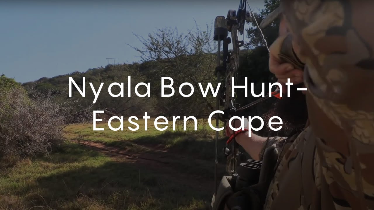 Nyala Bow Hunt Eastern Cape
