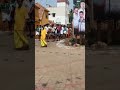 Thenmappattu Mulaipari