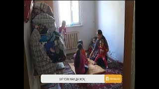 Бір үзім нан да жоқ...