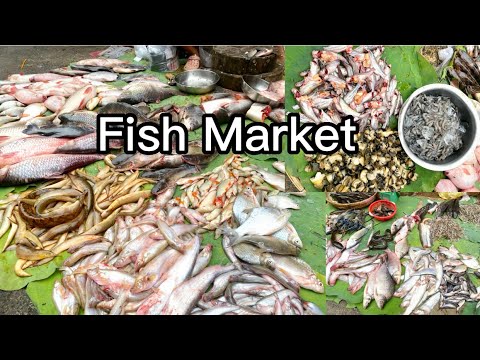 Cambodia Fish market- Fresh Fish,Chicken,Meat,Vegetable,Fruit | in Phnom Penh 🇰🇭