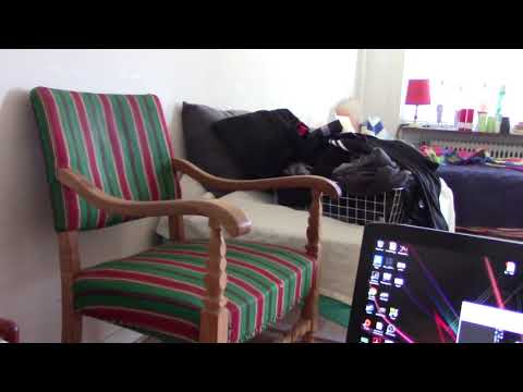 MongoTV_1111 - LØNNINGSDAG - God Fredag og Weekend