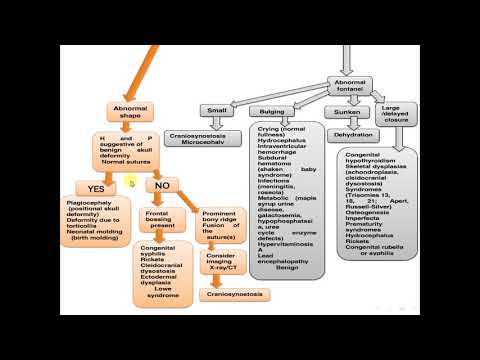 ABNORMAL HEAD SIZE, SHAPE, AND FONTANELS
