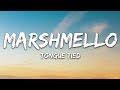Marshmello, YUNGBLUD, blackbear - Tongue Tied (Lyrics)