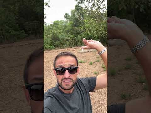 Lote cheio de árvores frutíferas  #lagocorumba4 #meulagocorumba #goias #foryou #fyp